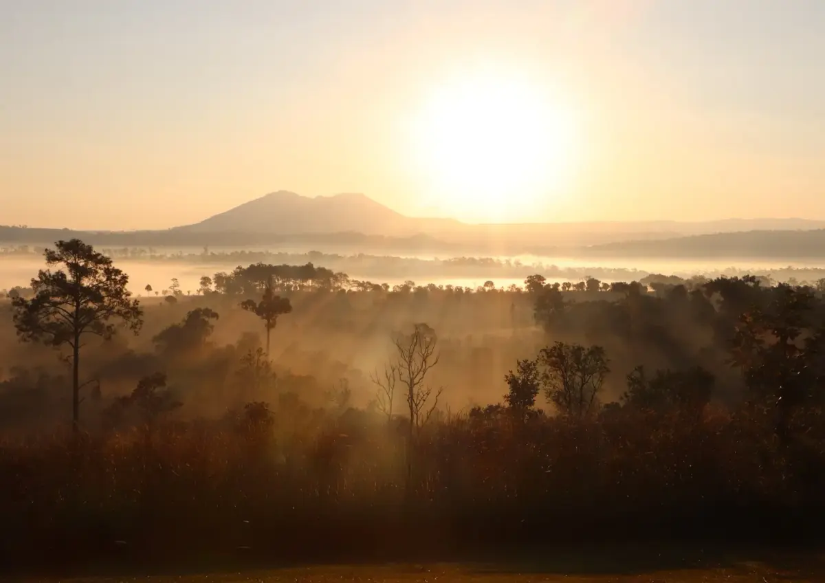 Misty mountain sunrise