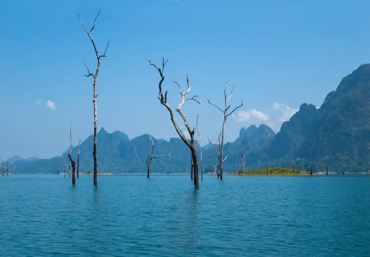 Trees rising out of Cheow Lan Lake, blue sky, eternal summer in Surat Thani edited